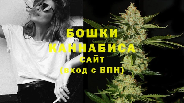 ПСИЛОЦИБИНОВЫЕ ГРИБЫ Новокубанск