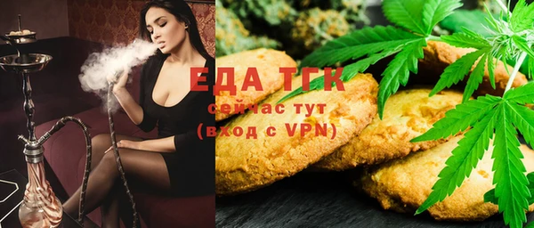 спиды Новозыбков