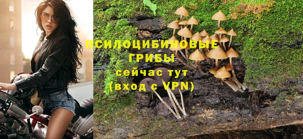 ПСИЛОЦИБИНОВЫЕ ГРИБЫ Новокубанск