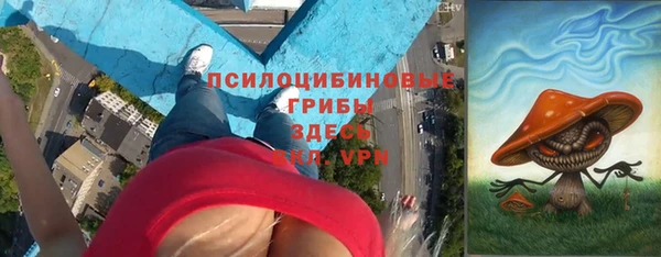 спиды Новозыбков