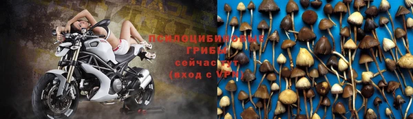спиды Новозыбков