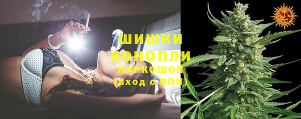 спиды Новозыбков