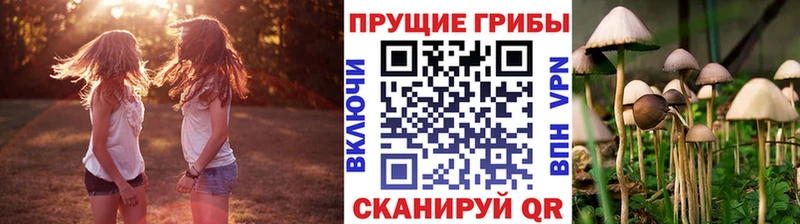 Галлюциногенные грибы Magic Shrooms KRAKEN ссылка Щучье где найти